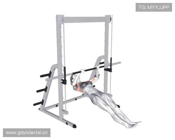 自重健身器材：不依赖外力的自重训练器材推荐