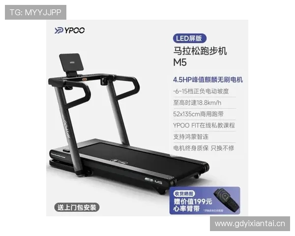 顶级健身器材品牌：高端产品分析与推荐