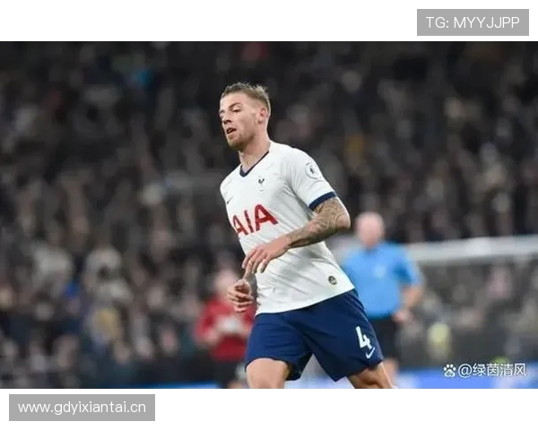 比利时国家队球员在英超联赛中的分布及影响力