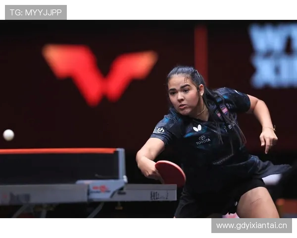 WTT世界杯历届冠军回顾与历史发展全景解析